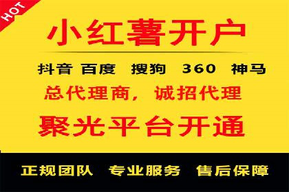 竞价排名的投放策略与效果评估案例